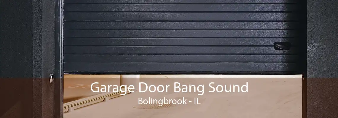 Garage Door Bang Sound Bolingbrook - IL