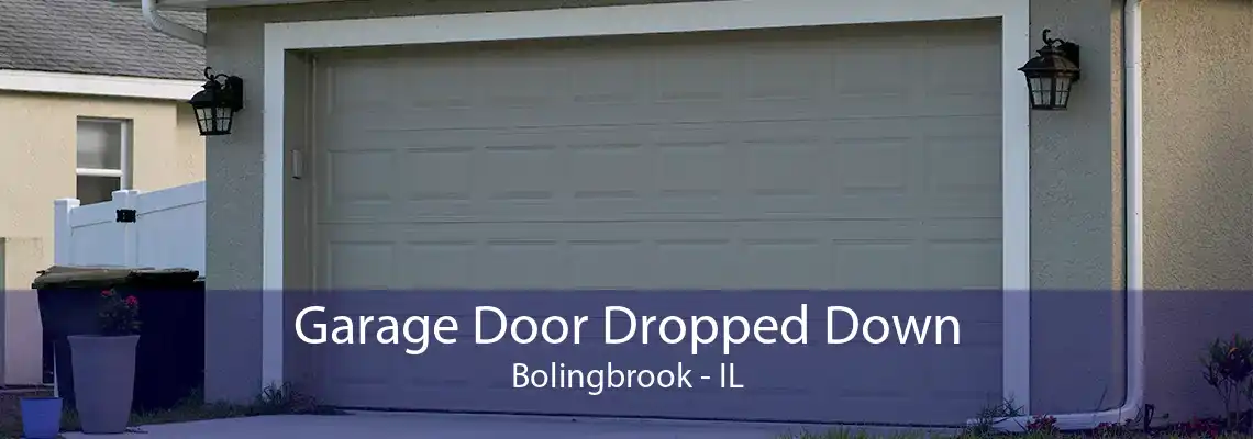 Garage Door Dropped Down Bolingbrook - IL