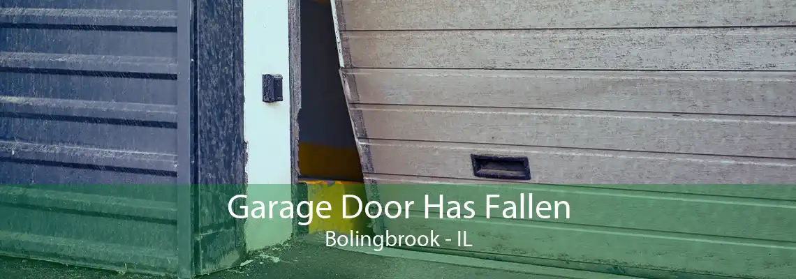 Garage Door Has Fallen Bolingbrook - IL