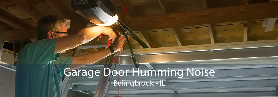 Garage Door Humming Noise Bolingbrook - IL