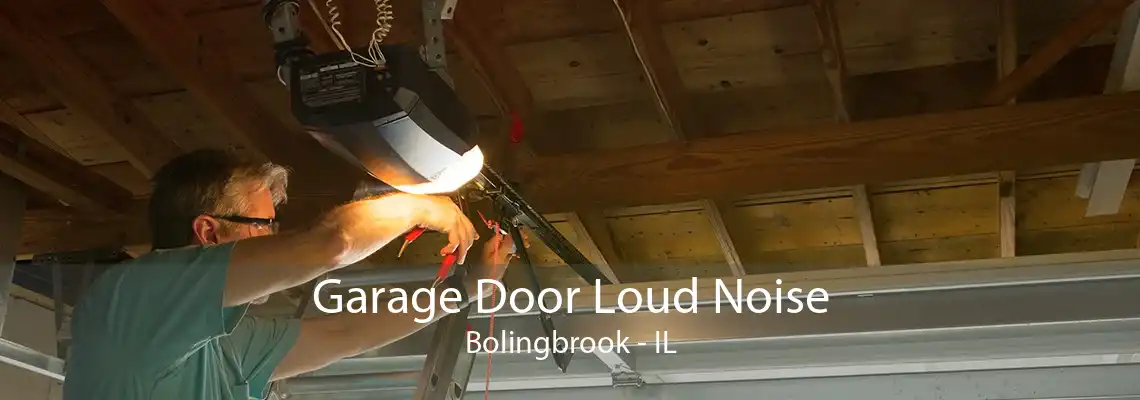 Garage Door Loud Noise Bolingbrook - IL