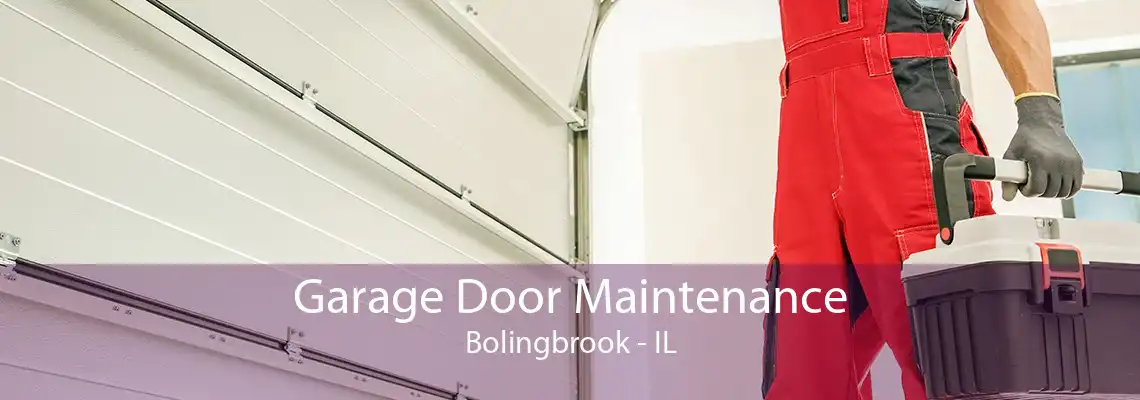 Garage Door Maintenance Bolingbrook - IL