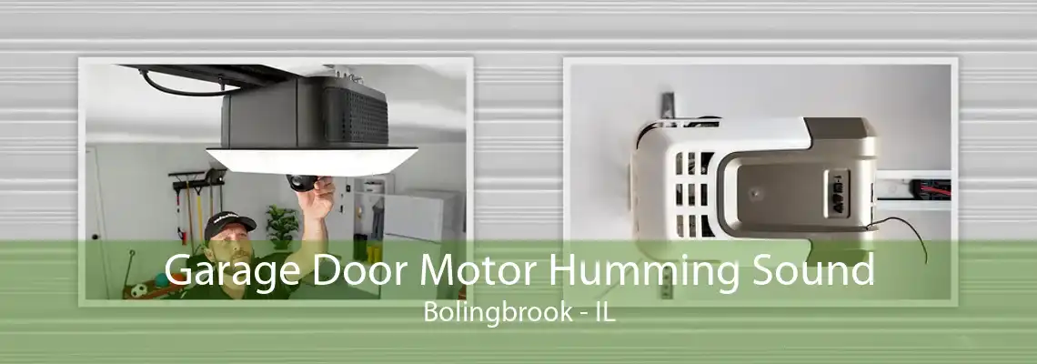 Garage Door Motor Humming Sound Bolingbrook - IL