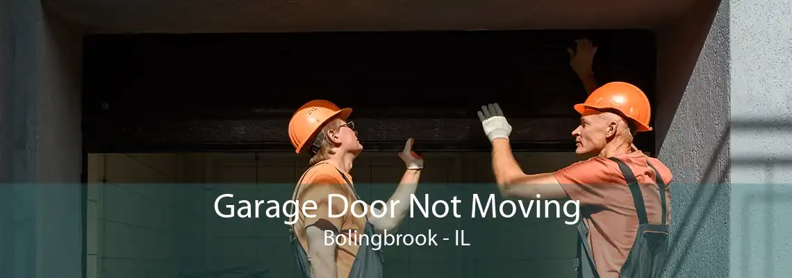 Garage Door Not Moving Bolingbrook - IL