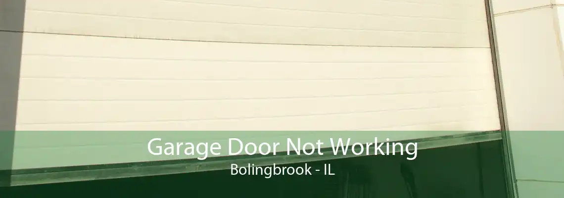 Garage Door Not Working Bolingbrook - IL