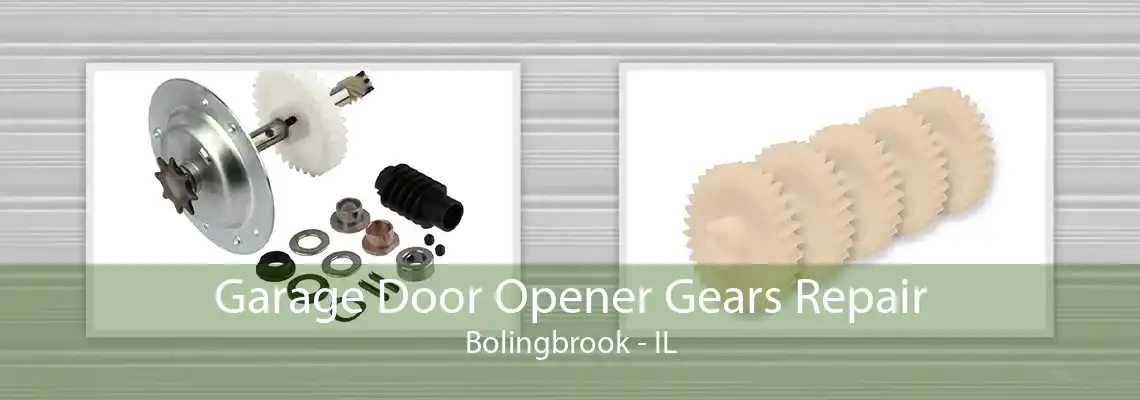 Garage Door Opener Gears Repair Bolingbrook - IL