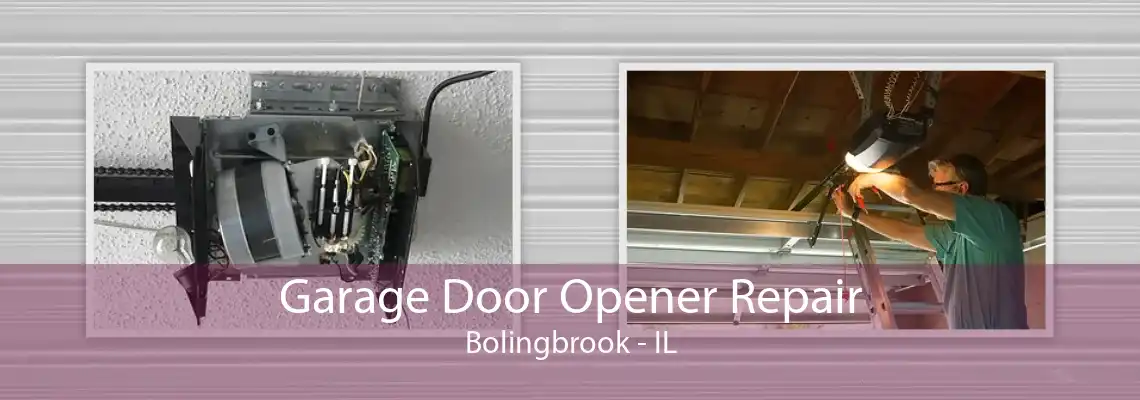 Garage Door Opener Repair Bolingbrook - IL