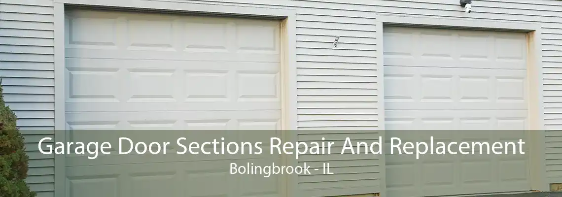 Garage Door Sections Repair And Replacement Bolingbrook - IL