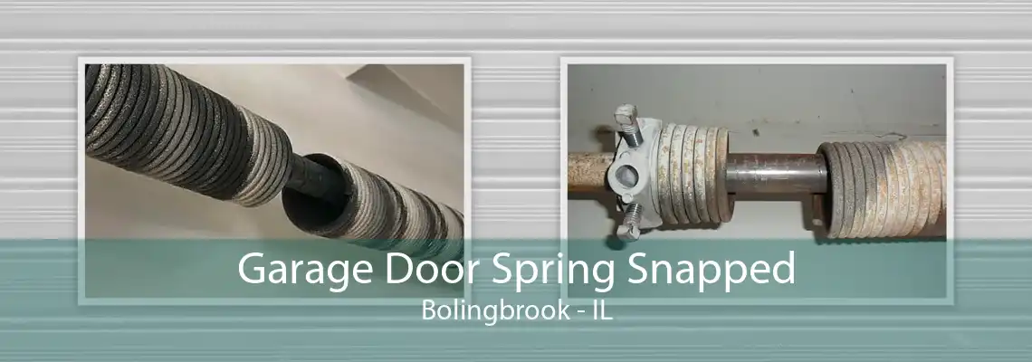 Garage Door Spring Snapped Bolingbrook - IL