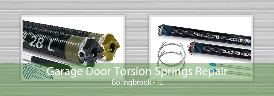 Garage Door Torsion Springs Repair Bolingbrook - IL