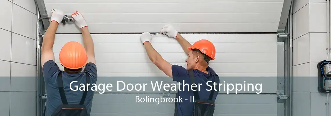 Garage Door Weather Stripping Bolingbrook - IL