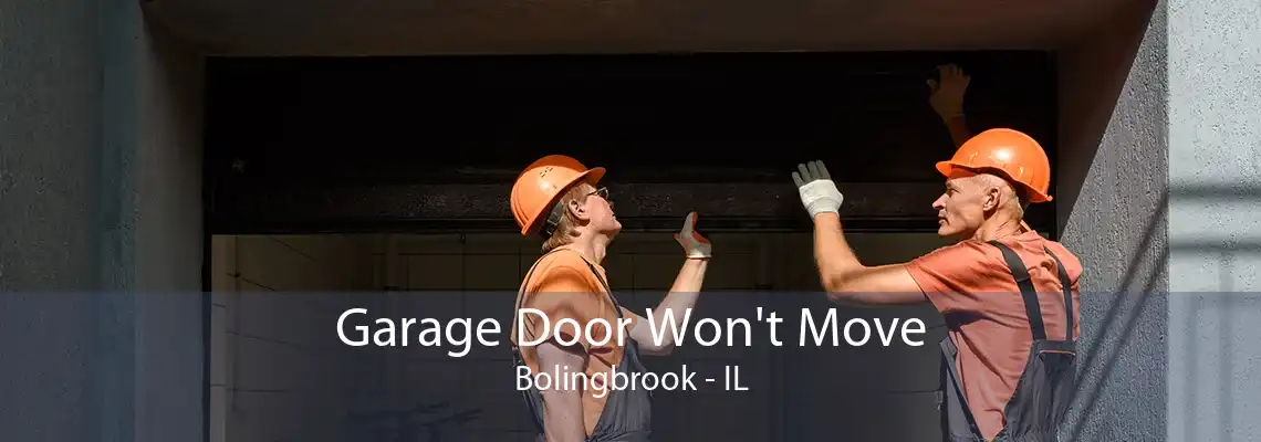 Garage Door Won't Move Bolingbrook - IL