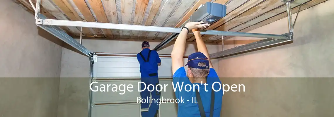 Garage Door Won't Open Bolingbrook - IL