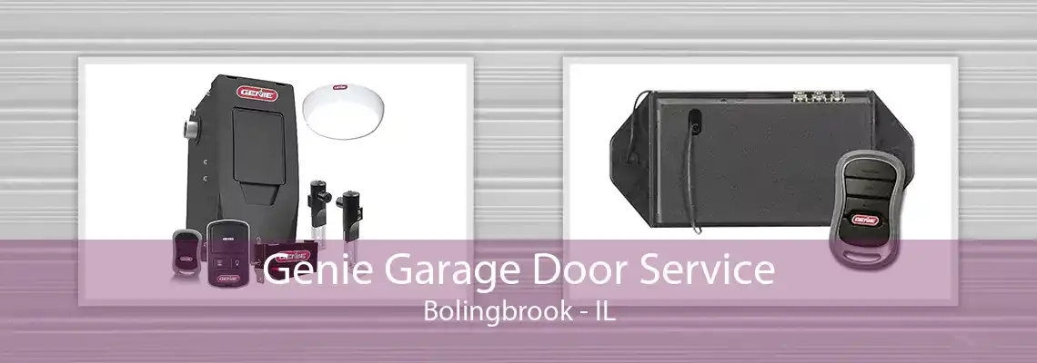 Genie Garage Door Service Bolingbrook - IL