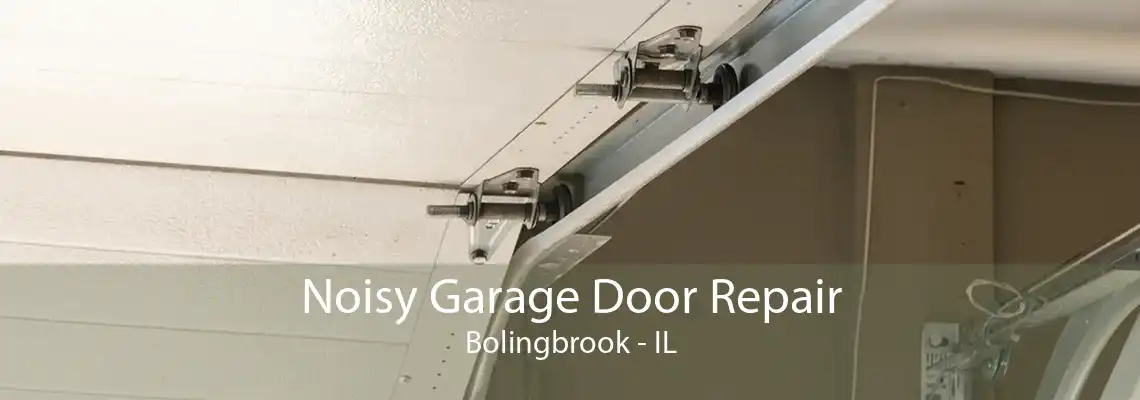 Noisy Garage Door Repair Bolingbrook - IL