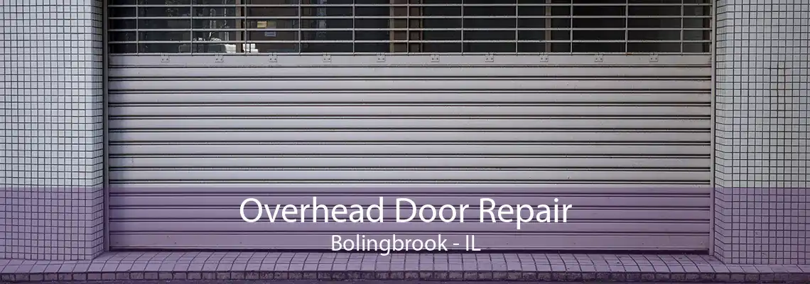 Overhead Door Repair Bolingbrook - IL