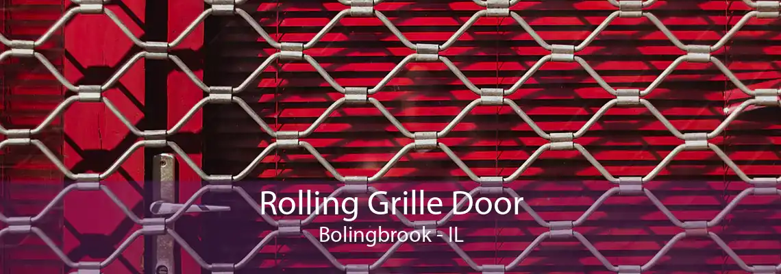 Rolling Grille Door Bolingbrook - IL