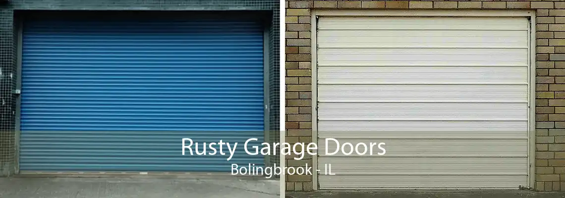 Rusty Garage Doors Bolingbrook - IL